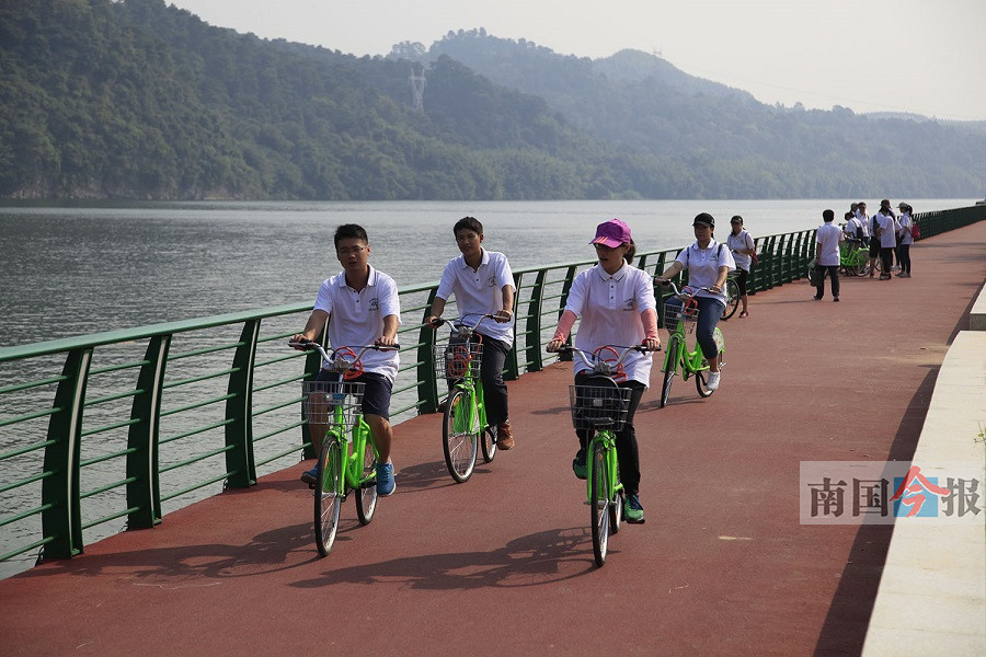 柳州網站建設路(柳州網站建設公司)