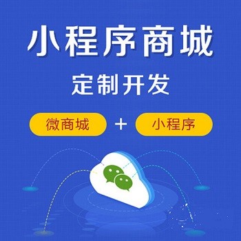 中山小程序開發(fā)公司(中山市小程序開發(fā)公司)
