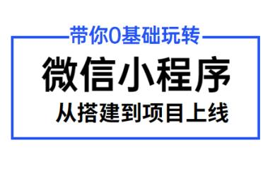 專業(yè)的微信小程序開發(fā)價(jià)格的簡單介紹