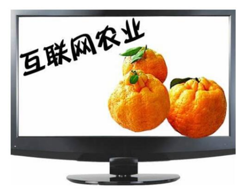 農村互聯網農業(yè)新聞(農村互聯網農業(yè)新聞稿件)