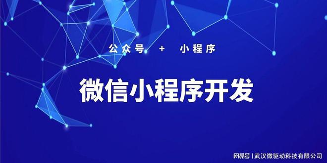 小程序訂閱信息開發(微信小程序開發者信息)