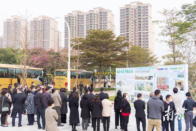龍江樂從網(wǎng)站建設(shè)(樂從龍江屬于哪個城市)