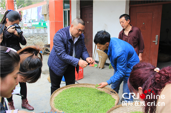 茶葉的互聯(lián)網(wǎng)新聞(茶葉網(wǎng)絡(luò)市場(chǎng)分析報(bào)告)
