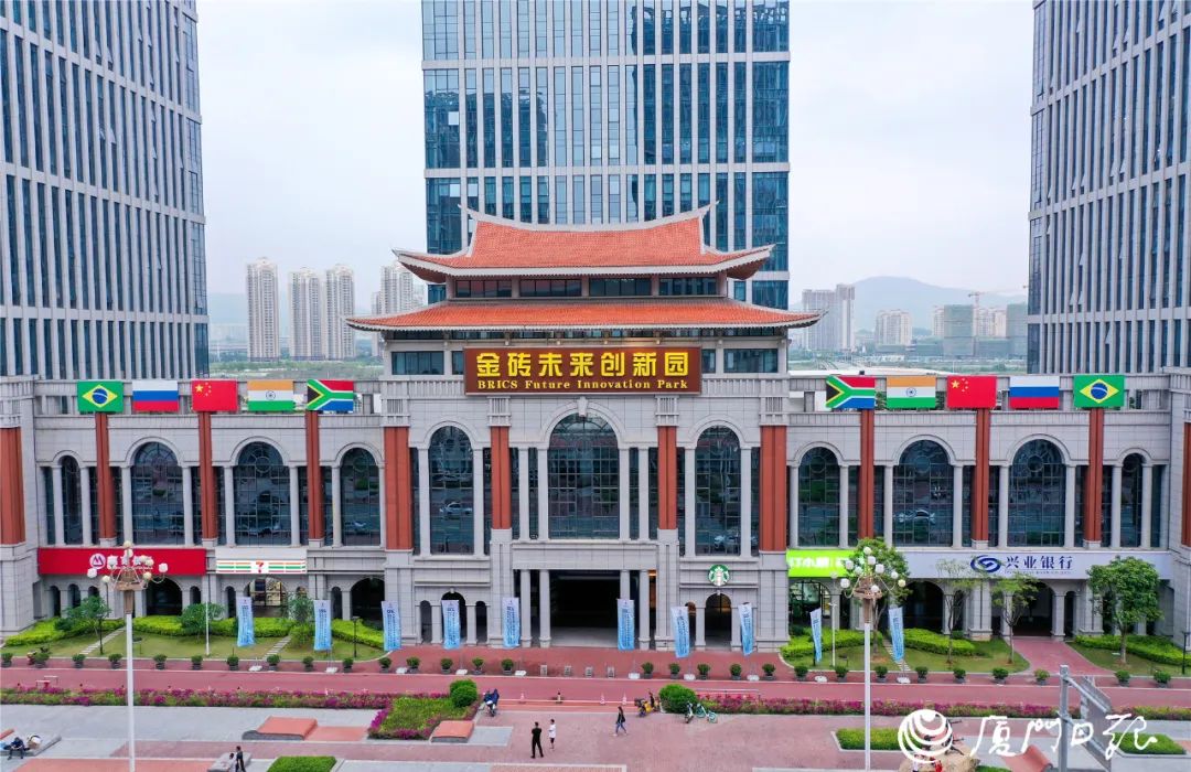 廈門互聯(lián)網新聞(廈門互聯(lián)網協(xié)會會長)