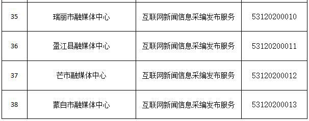 互聯網新聞信息服務總負責(互聯網新聞信息服務單位內容管理)