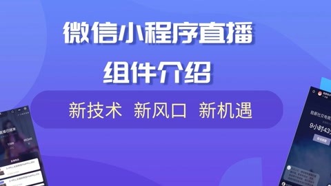 小程序開發(fā)視頻全部(小程序開發(fā)視頻全部流程)