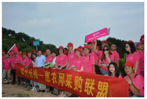 靖州電商新聞網站建設(靖州電子商務進農村綜合示范)