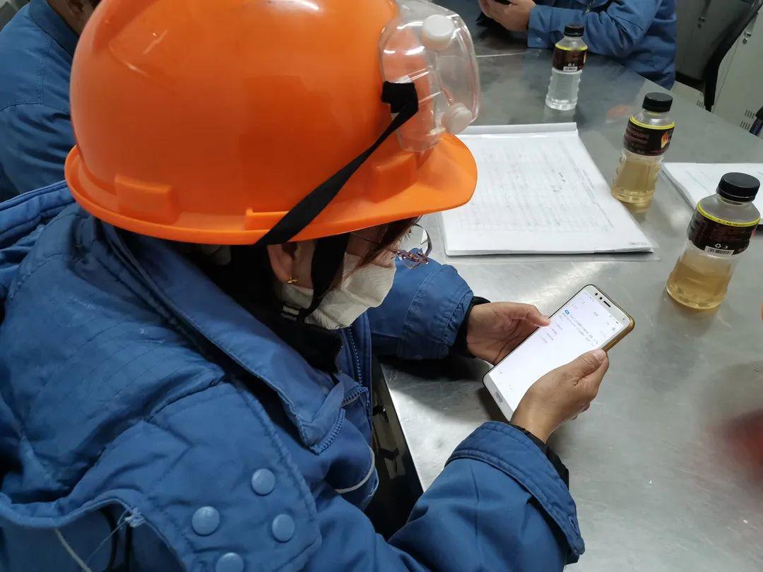 遼寧專業(yè)網站建設檢修(遼寧省專業(yè)信息填報平臺)