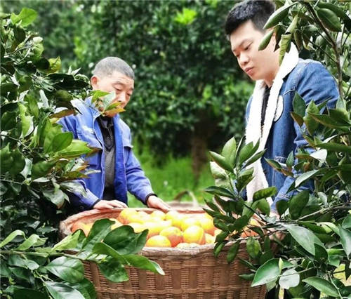 互聯(lián)網社會扶貧新聞稿(互聯(lián)網+扶貧宣傳稿范文)